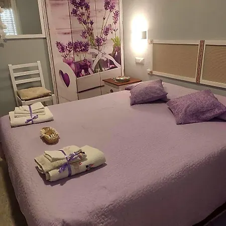B&B Babay 구스피니
