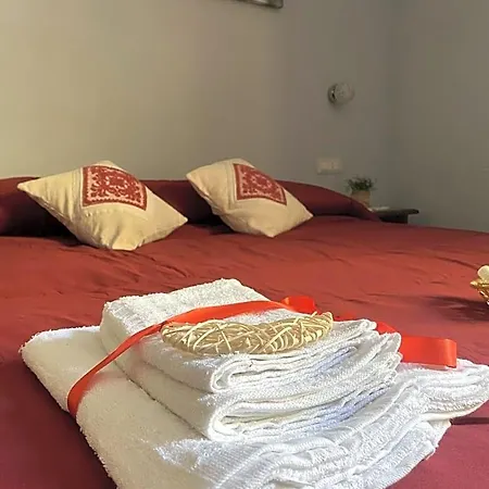 Babay B&B 구스피니