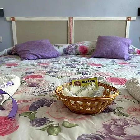 Babay B&B 구스피니