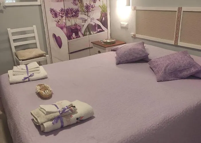 Babay 住宿加早餐酒店